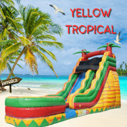 19ft Yellow Tropical (Dry)