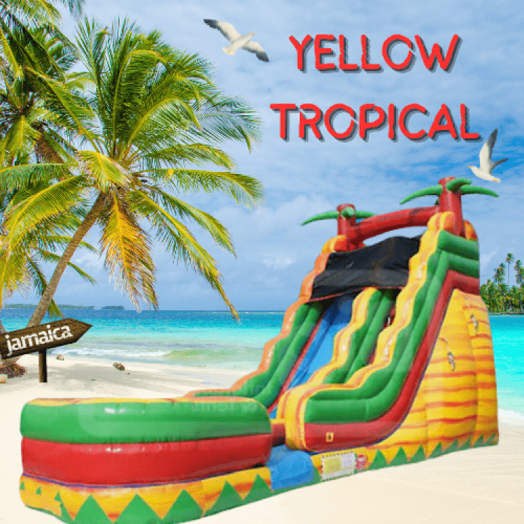 19ft Yellow Tropical (Wet)