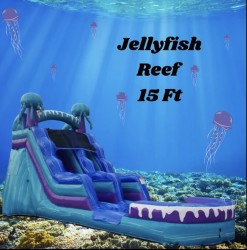 15ft Jellyfish Reef (Dry)