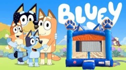 Bluey & Bingo